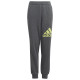 Adidas Παιδικό παντελόνι φόρμας Essentials Regular Fit Big Logo Cotton Pants